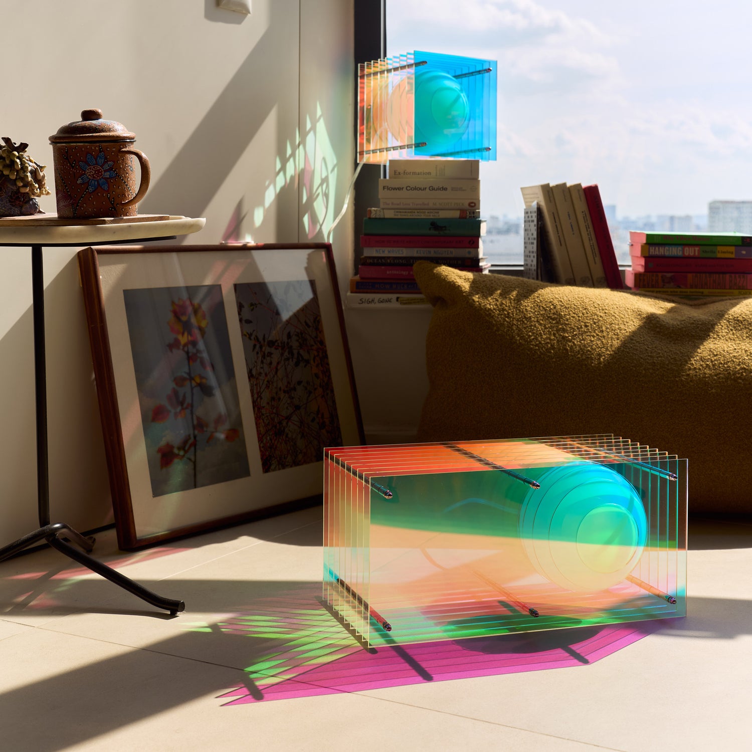 Dreamy Lop in Small Square and Small Rectangle